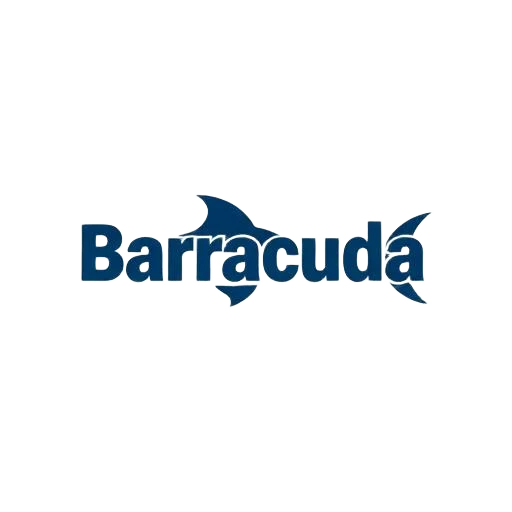 Barracuda MSP authorised partner — IT repairs Pretoria